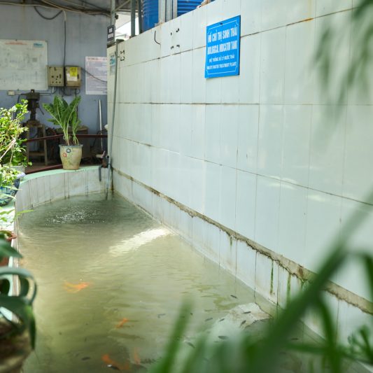 Vestergaard site in Vietnam
