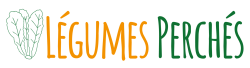 cropped-Logo-siteweb-transparent