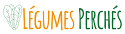 Cropped Logo Siteweb Transparent