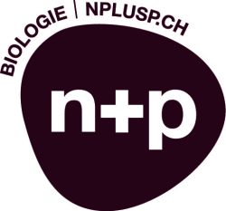 Np Logo